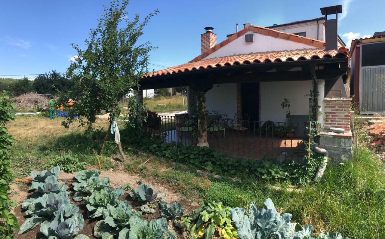Casa De Pueblo Con Merendero Alquilable Opcionalmente Casarejos ภายนอก รูปภาพ